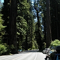 2007 07 03 086